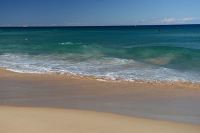 DSC_1291.JPG