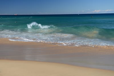 DSC_1292.JPG
