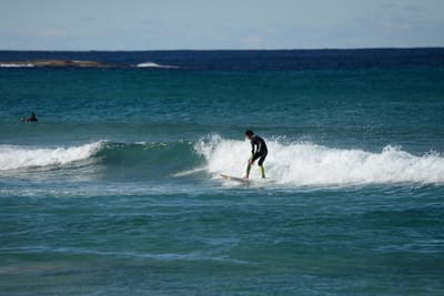 DSC_1294.JPG