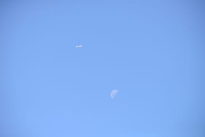 DSC_1325.JPG