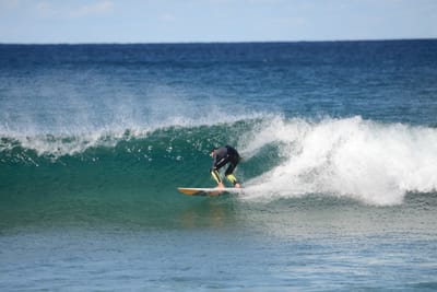 DSC_1352.JPG