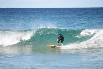 DSC_1356.JPG