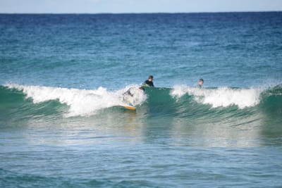 DSC_1369.JPG