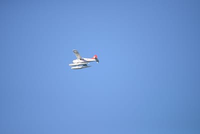 DSC_1370.JPG