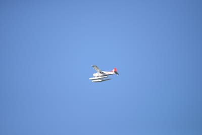 DSC_1371.JPG
