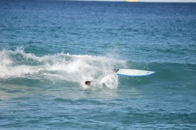 DSC_1375.JPG