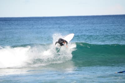 DSC_1378.JPG