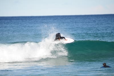 DSC_1379.JPG