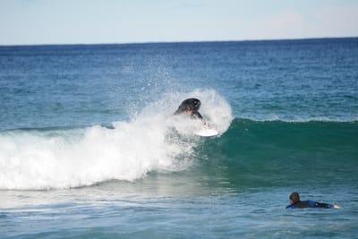 DSC_1380.JPG