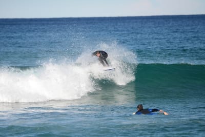 DSC_1381.JPG