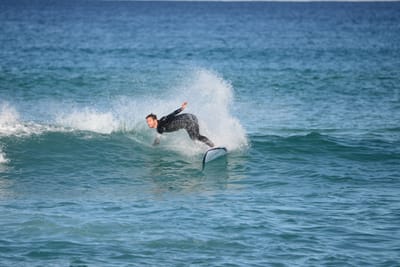 DSC_1393.JPG