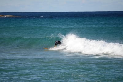 DSC_1398.JPG