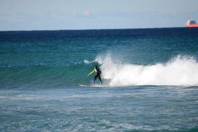DSC_1401.JPG