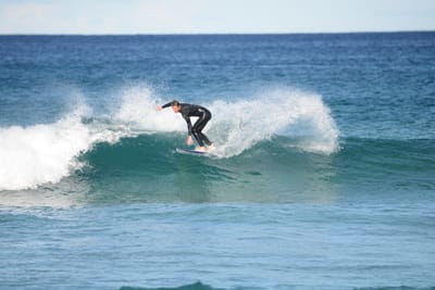 DSC_1407.JPG