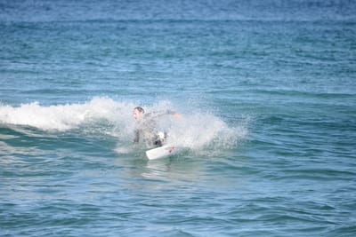 DSC_1426.JPG