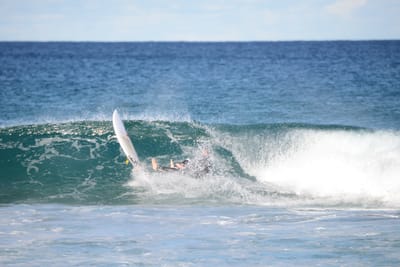 DSC_1504.JPG