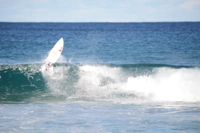 DSC_1505.JPG