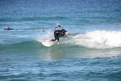 DSC_1507.JPG