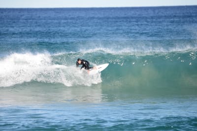 DSC_1519.JPG