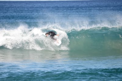 DSC_1520.JPG