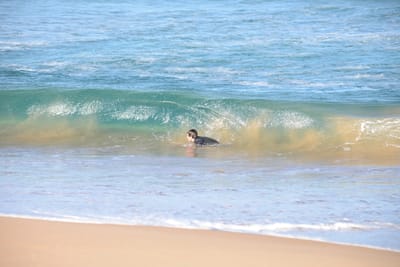 DSC_1522.JPG