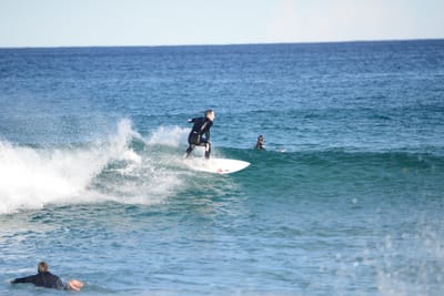 DSC_1530.JPG