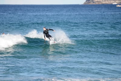 DSC_1533.JPG