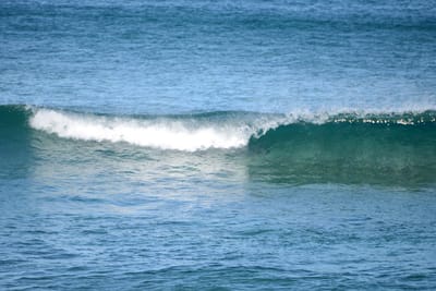 DSC_1537.JPG