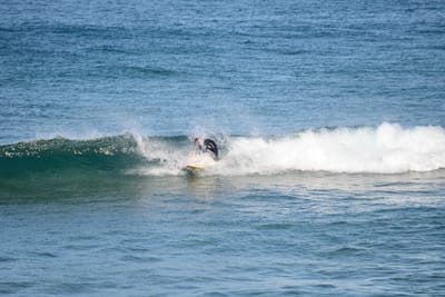 DSC_1541.JPG