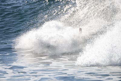 DSC_8939.JPG