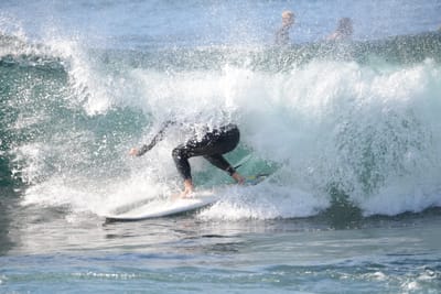 DSC_8985.JPG