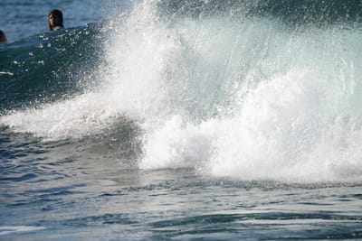 DSC_9024.JPG
