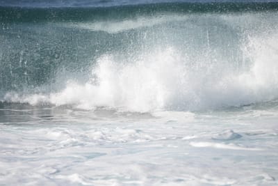 DSC_9039.JPG