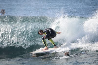 DSC_9075.JPG