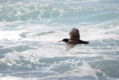 DSC_9139.JPG