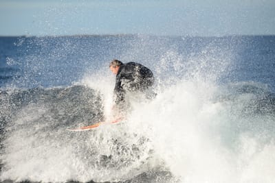 DSC_9281.JPG