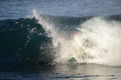 DSC_9296.JPG