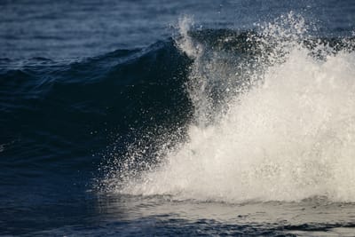 DSC_9299.JPG
