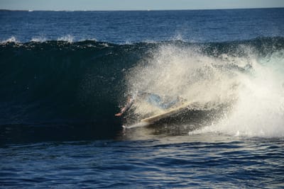 DSC_9361.JPG