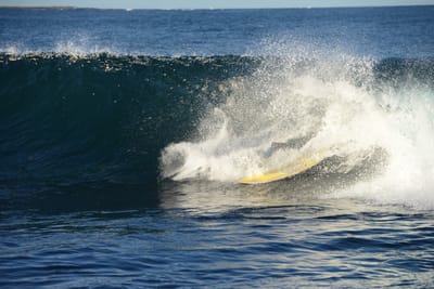 DSC_9362.JPG