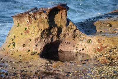 DSC_9365.JPG