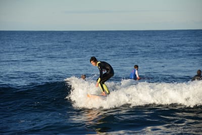 DSC_9371.JPG