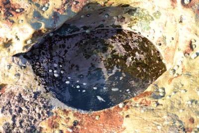DSC_9382.JPG