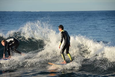 DSC_9394.JPG