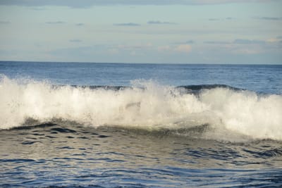 DSC_9407.JPG
