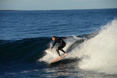 DSC_9408.JPG