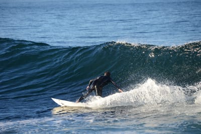 DSC_9409.JPG