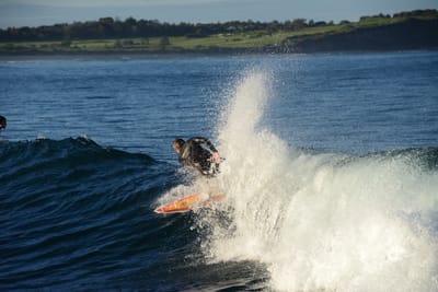 DSC_9414.JPG