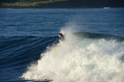 DSC_9431.JPG