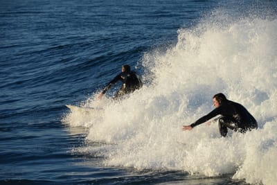 DSC_9444.JPG